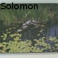 NatSolomon